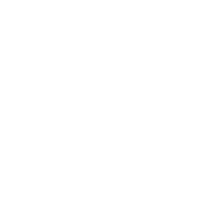 Logo Twitter