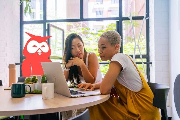 Small business owners sitting at a desk in front of laptop with Owly