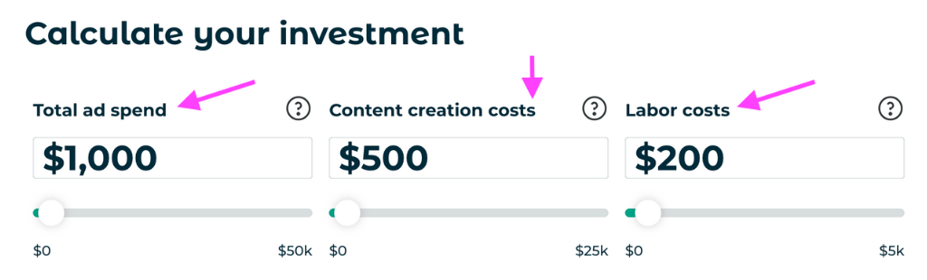 Screenshot of the social media ROI tool